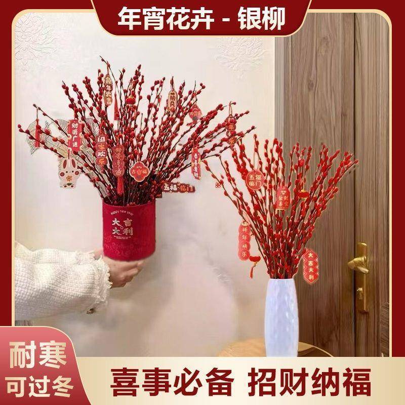 银柳真花鲜枝春节年宵水培植物干花红色花卉客厅福桶室内装饰