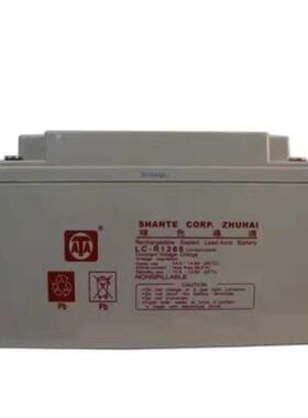 ATA蓄电池绿色通道LC-R1224/12V7.2a17a24a38a65a100a120ah直流屏
