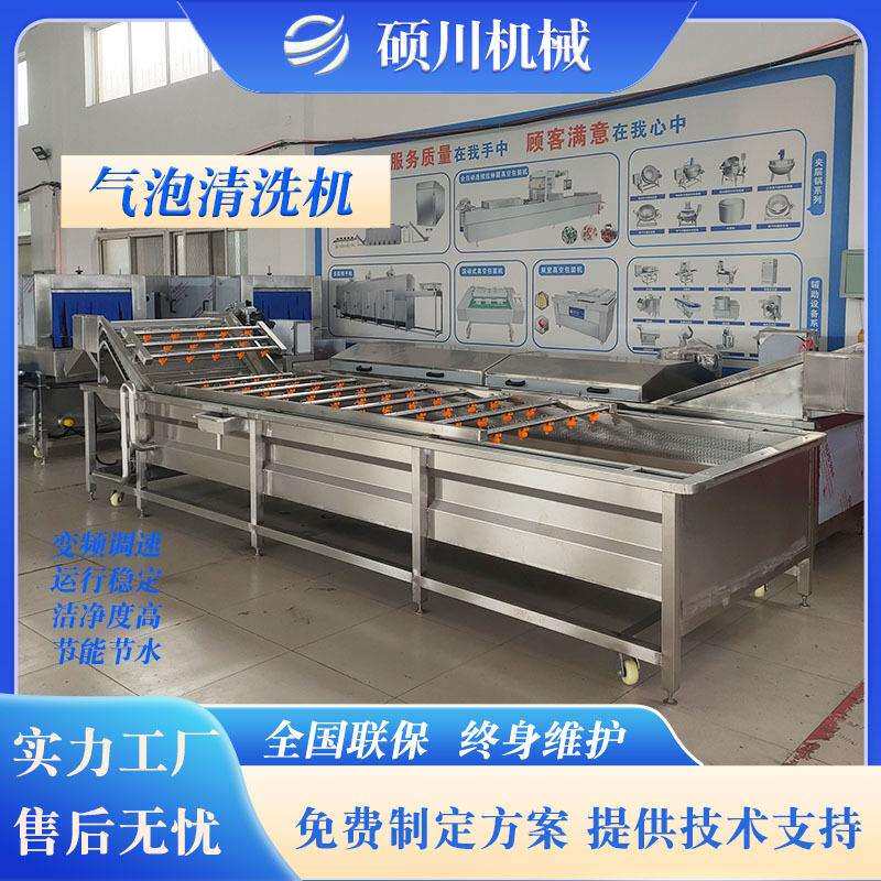 桑叶食叶草气泡清洗机 净菜加工加工洗菜机 辣椒清洗风干流水线
