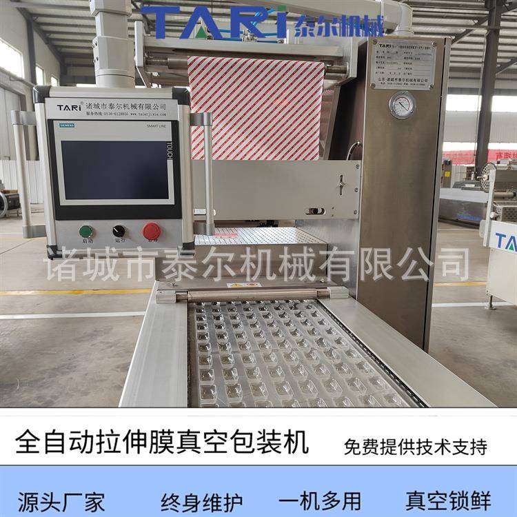 山楂糕果丹皮拉伸膜真空封口机奶酪全自动连续真空包装机泰尔