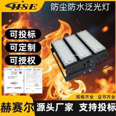 FL7300WLED泛光灯支架安装50W100W150W200W防尘防水泛光灯