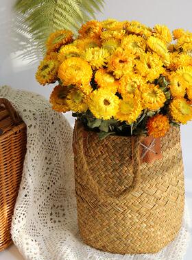 雏菊干 干燥花花束客厅摆设装饰摆饰拍摄道具云南天然真花ins插花