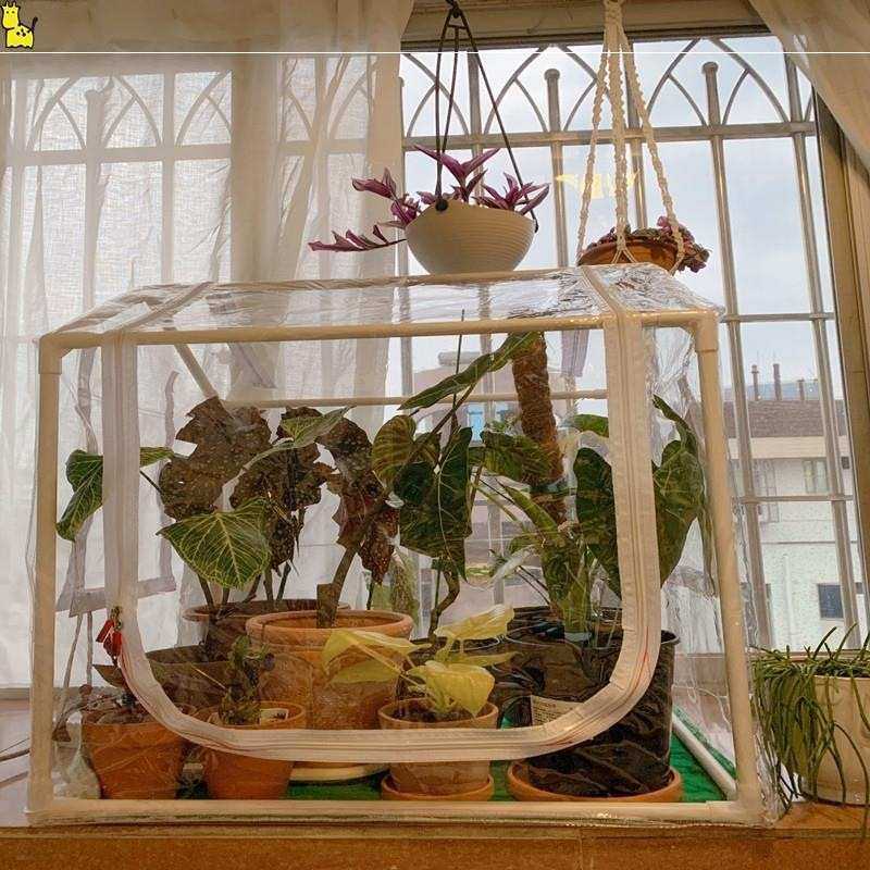 温室暖棚家用花房防冻抗寒保温被阳台庭院多肉蔬菜过冬简易冬季雪,鲜花速递/花卉仿真/绿植园艺,花盆,淘宝优惠券,粉丝福利购,淘宝优惠卷