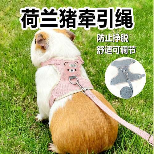 荷兰猪牵引绳专用豚鼠外出神器可爱宠物户外马甲衣服背心小型用品