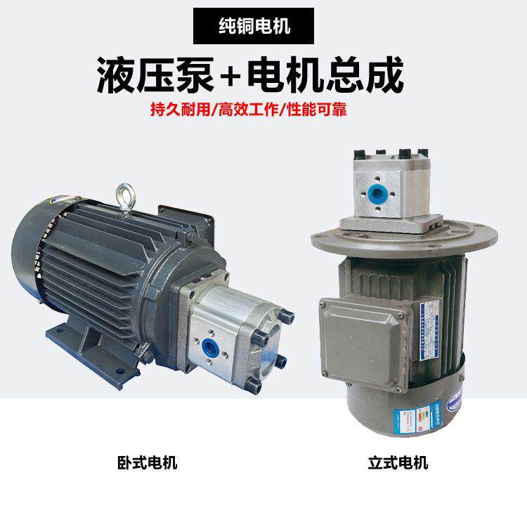 380V三相电机齿轮泵液压油泵总成1.5KW2.2KW3.0KW内轴直插式电机