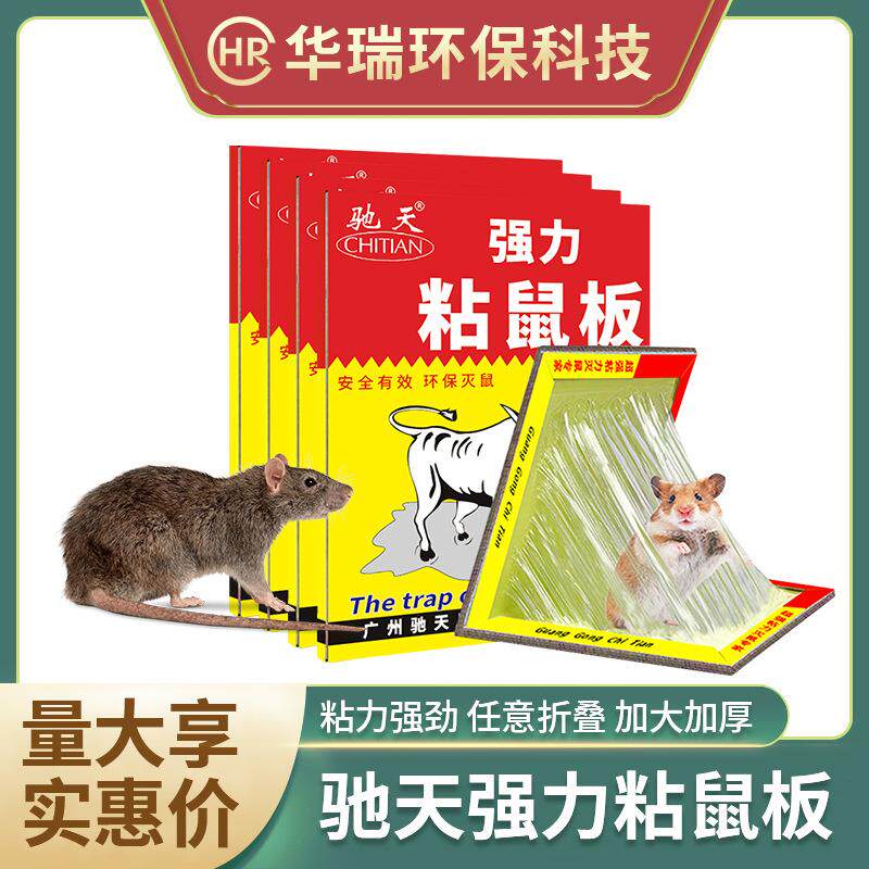 包邮驰天强力粘鼠板加大加厚驱灭老鼠胶沾板贴引诱老鼠夹捕捉鼠器