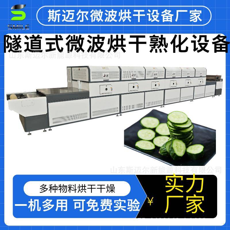 黄瓜片微波干燥设备保留存放时间水果片烘干机蔬菜脱水干燥机