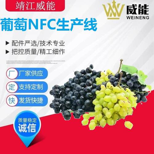 厂家直销大型工业商用不锈钢优质的葡萄NFC鲜汁生产线