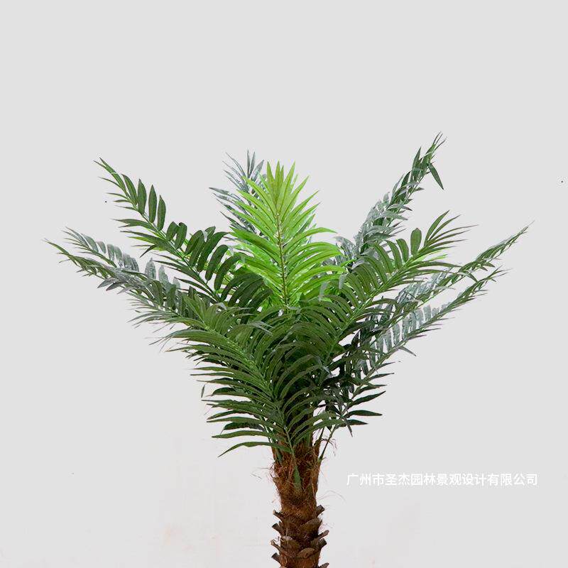 仿真槟榔树商场门口摆放仿真树室内装饰园林景观工程仿真植物