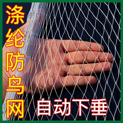果树防鸟网果园樱桃葡萄草莓嘉宝果枇杷鱼塘大棚养殖农用防鸟网