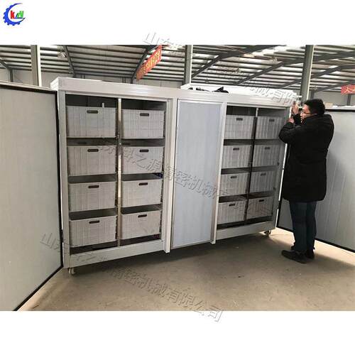 多用途不锈钢箱式培育机绿豆芽黄豆芽发芽设备自动控温种子催芽器