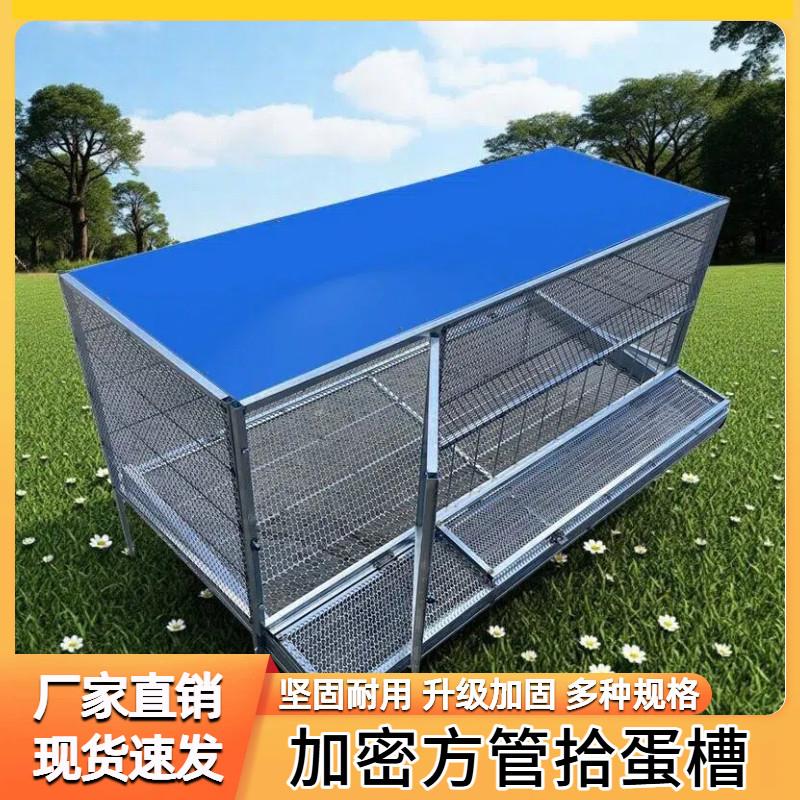 鸡笼家用大号防雨室内室外铁丝网防黄鼠狼下蛋笼自动滚蛋笼养殖笼