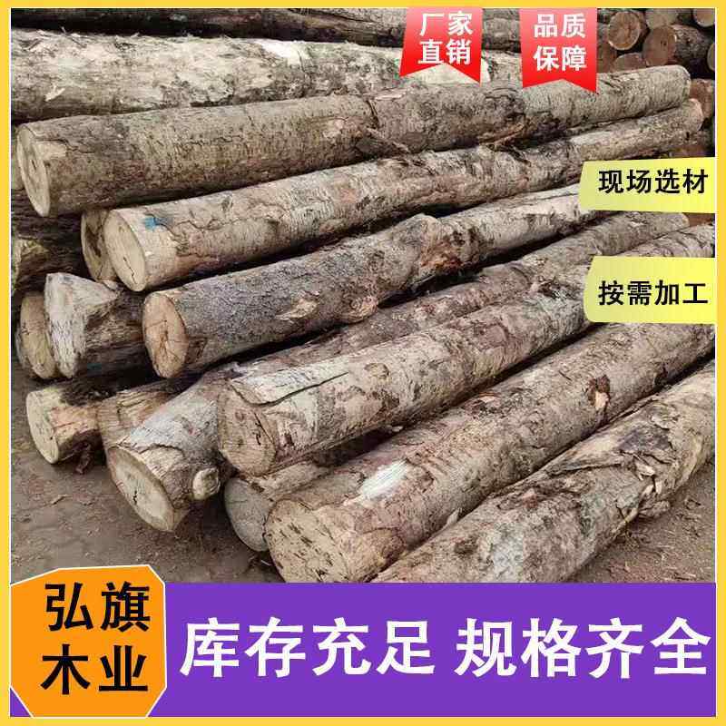 杨木原木包装箱木板衣柜家具材防腐杨木实木烘干板规格齐全