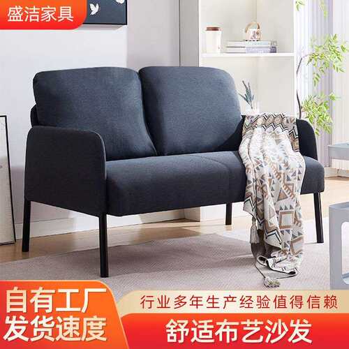 小户型沙发客厅多用途双人免洗布艺沙发公寓出租屋简易三人位沙发