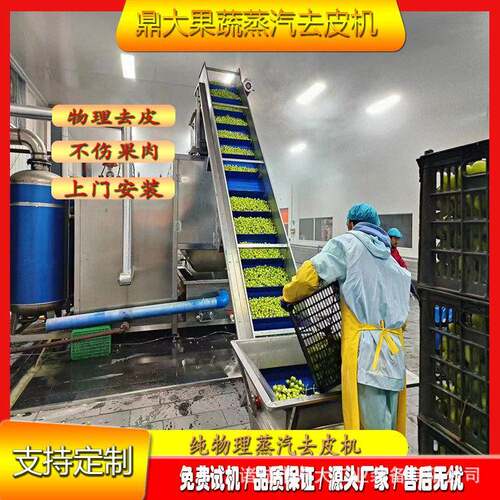大型葡萄去皮机无剂环保设计智能去皮支持批量加工上门安装调试
