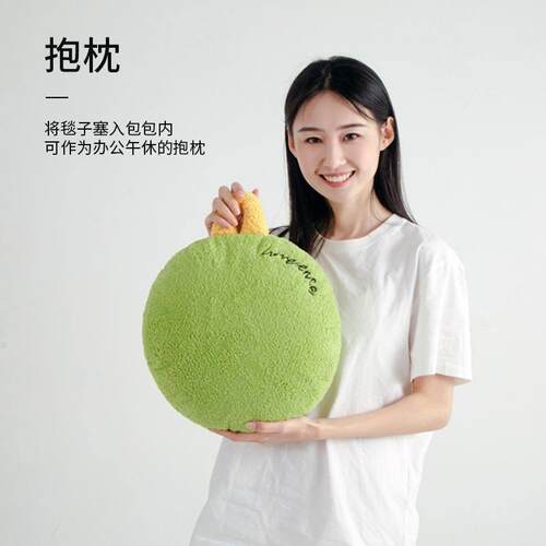 溥畔年 抱枕被子两用抱枕毯子二合一办公室午睡车载抱枕车用夏凉