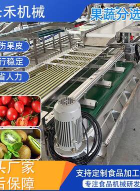 西红柿蔬菜分选设备 商用轨道式葱头分选机 秋月梨橘红分拣机