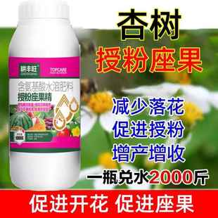 杏树座果灵杏树强力授粉保花保果防落果防裂杏树坐果灵杏子授粉药