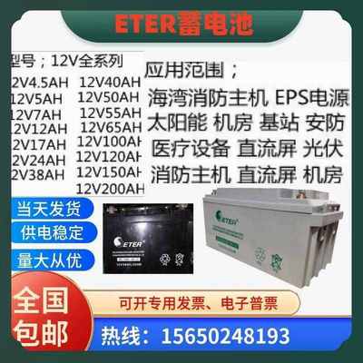 ETER蓄电池STSR12V4.5A7A12A17A24A38A55A65A100AH应急机房UPSEPS