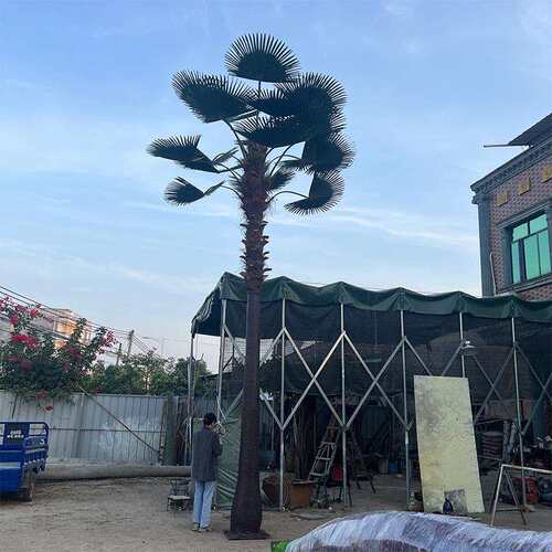 仿真扇葵树人造海藻树厂家直供大型老人葵工程造景摄影道具大摆件