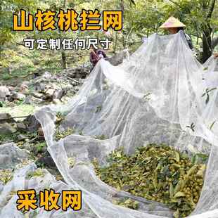 山核桃采收网拦网专用打小核桃铺地上的工具垫白地毯摘农用落果接