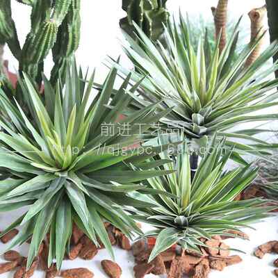 仙橱超大仙人柱沙生植量天FZS99900尺大物型沙生景观窗造景仿真人