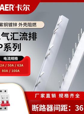CHAER卡尔 2P紫铜汇流排 断路器32/63/100A镀锌36mm二相C45接线条