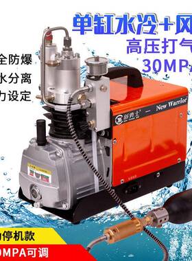 新勇士高压打气机30mpa微型充气泵电动40Mpa打气泵高压水冷