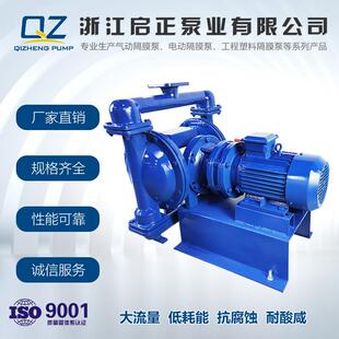 电动隔膜泵 40铸铁电动隔膜泵污水输送电动隔膜泵摆线式 DBY