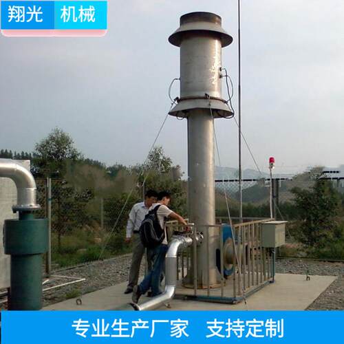 100立方内燃沼气火炬报价 垃圾场燃烧火炬原理 小型沼气火炬