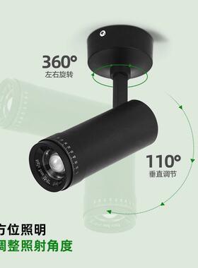 全光谱吸顶款可调10-60度光束灯角室补植物内光阳台造景小OZN太阳