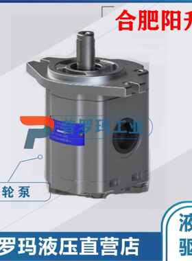 农机齿轮泵CBTD-F410/420/425/423-ALH4L 合肥阳升长源液压齿轮泵
