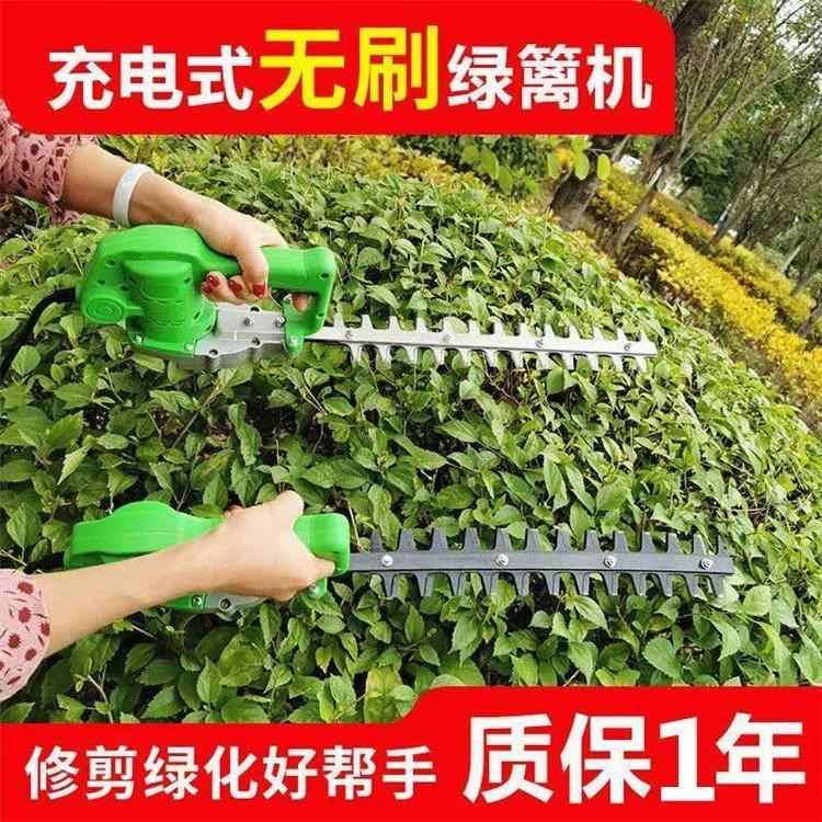 电动无刷绿篱机园艺花园绿化带修整修剪工具手持电动轻修绿篱剪