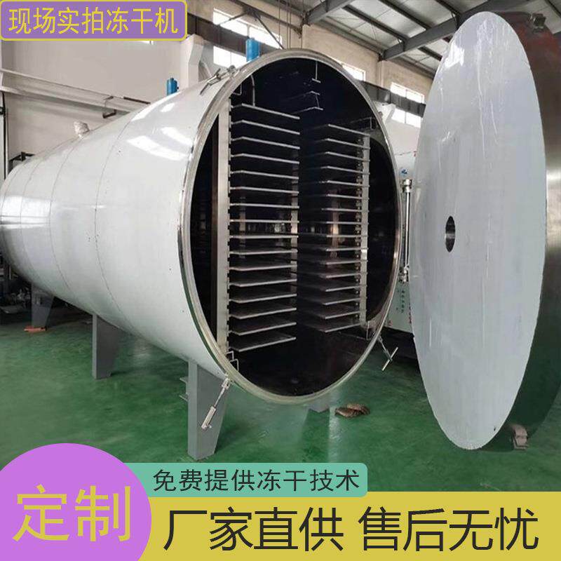 鳕鱼冷冻干燥设备墨鱼鱿鱼真空冷冻干燥机冻干机源头厂家商用