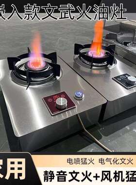 家用植物油电气化猛火灶白油无风机文火灶台式双炒户外小电喷灶