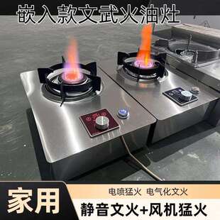 家用植物油电气化猛火灶白油无风机文火灶台式双炒户外小电喷灶