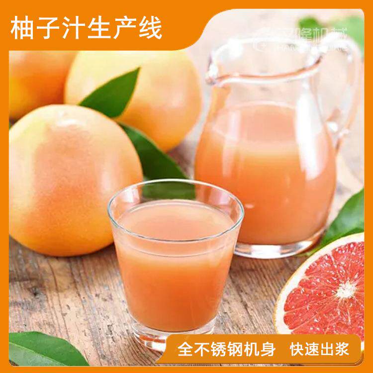 柚子果汁生产线 蜜柚加工设备水果清洗去皮去籽榨汁生产线