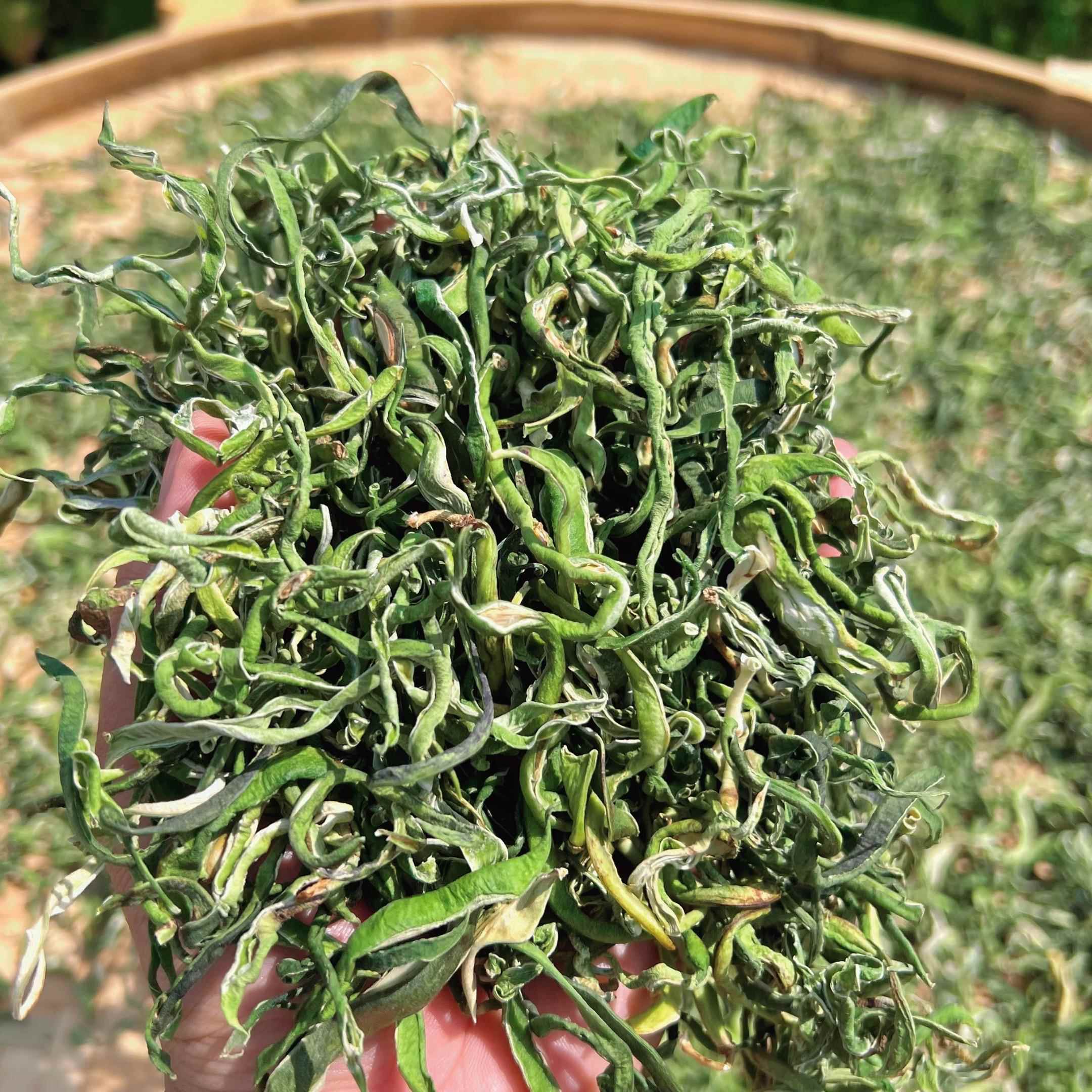正宗东北特产干豆角丝干 干货500g农家自制油豆角丝干 干菜纯手工