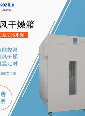 厂家供应D9620A电热鼓风干燥箱高温烘箱老化试验箱恒温干燥箱