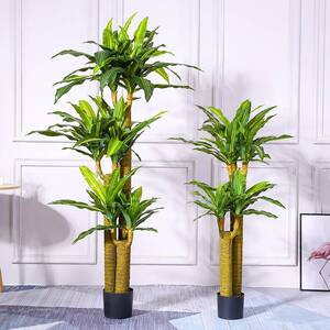 现真树约仿绿植大型巴西木盆真栽客厅简室内仿植现货017物家居装