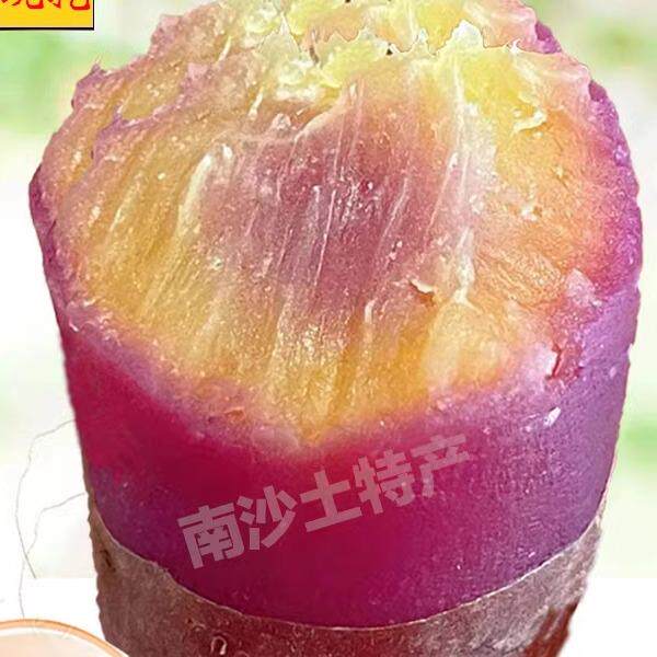 正宗广州南沙一点红番薯新鲜现挖冰淇淋红薯板栗薯农家自种蜜薯