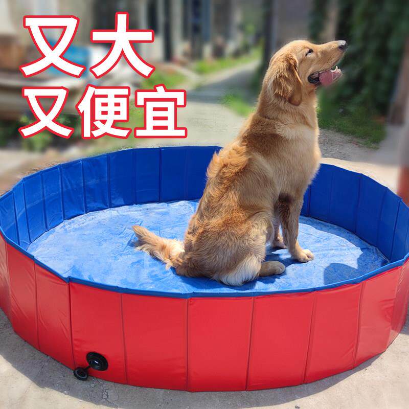 狗狗洗澡盆可折叠大型犬金毛宠物游泳池钓金鱼水池养鱼猫咪浴盆