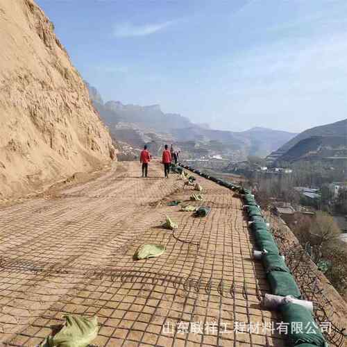 双向钢塑复合土工NZY栅GSGS100-100路基加筋GS塑Z0-880格钢土工格