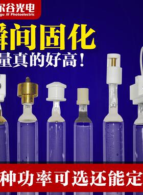 3kw220V紫外线光固化灯 UV灯固化灯UV胶水油墨光固灯高压汞灯