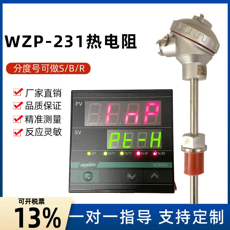 WZP-231热电阻不锈钢传感器pt100防水耐高温探头一体化显示变送器