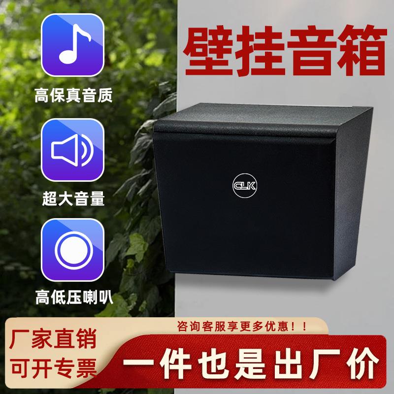 壁挂音响公共广播定压喇叭商铺超市商场会议用壁挂音箱