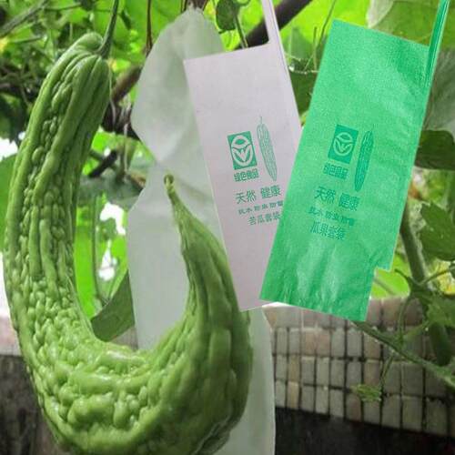 苦瓜专用丝瓜雨水防虫透气保温箱