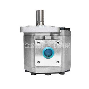 F532 550 563 液压齿轮泵CBT 590 CBT 580 5100花左花右侧出