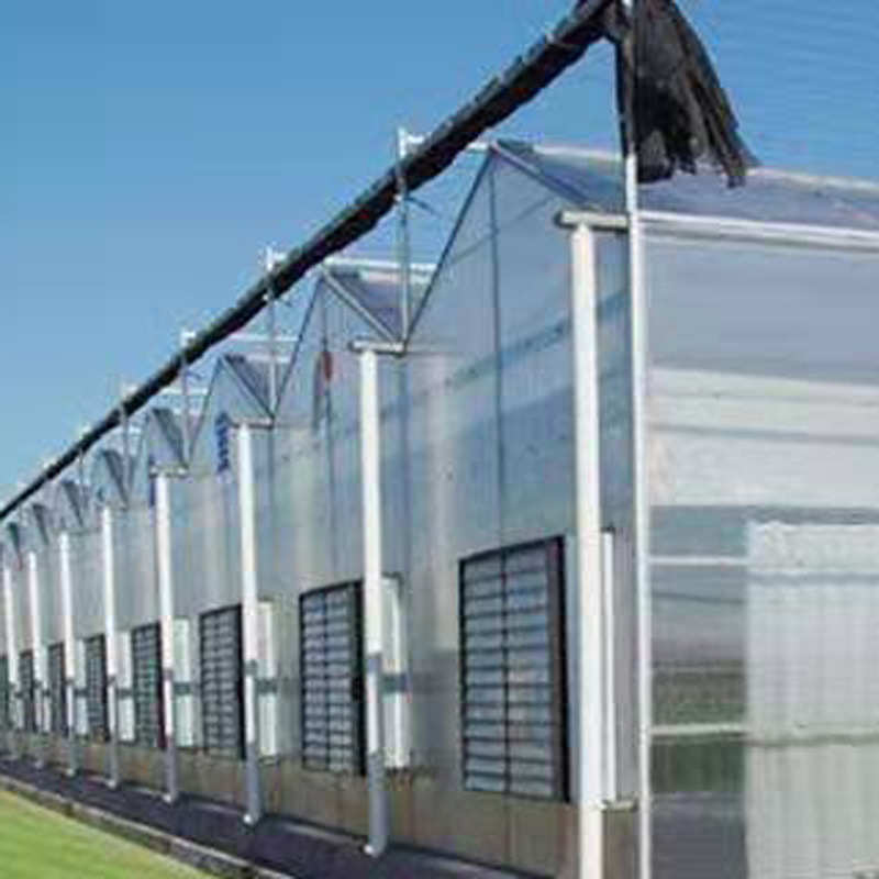 阳光板温室pc纹络式日光温室采光养殖种植大棚阳光板遮阳植物