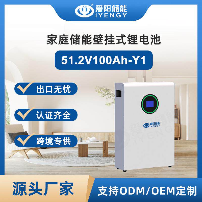 超高循环寿命51.2V100Ah磷酸铁锂储能电池安全耐用现货热销